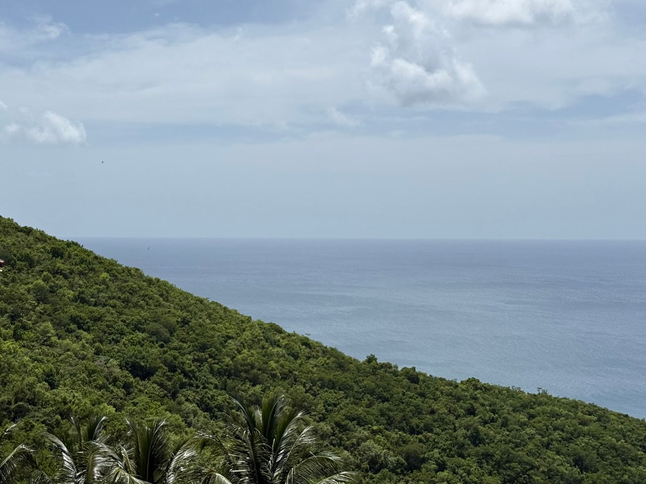 1059 Rogue's Bay Lots for Sale-0.9 acre and 1 acre 