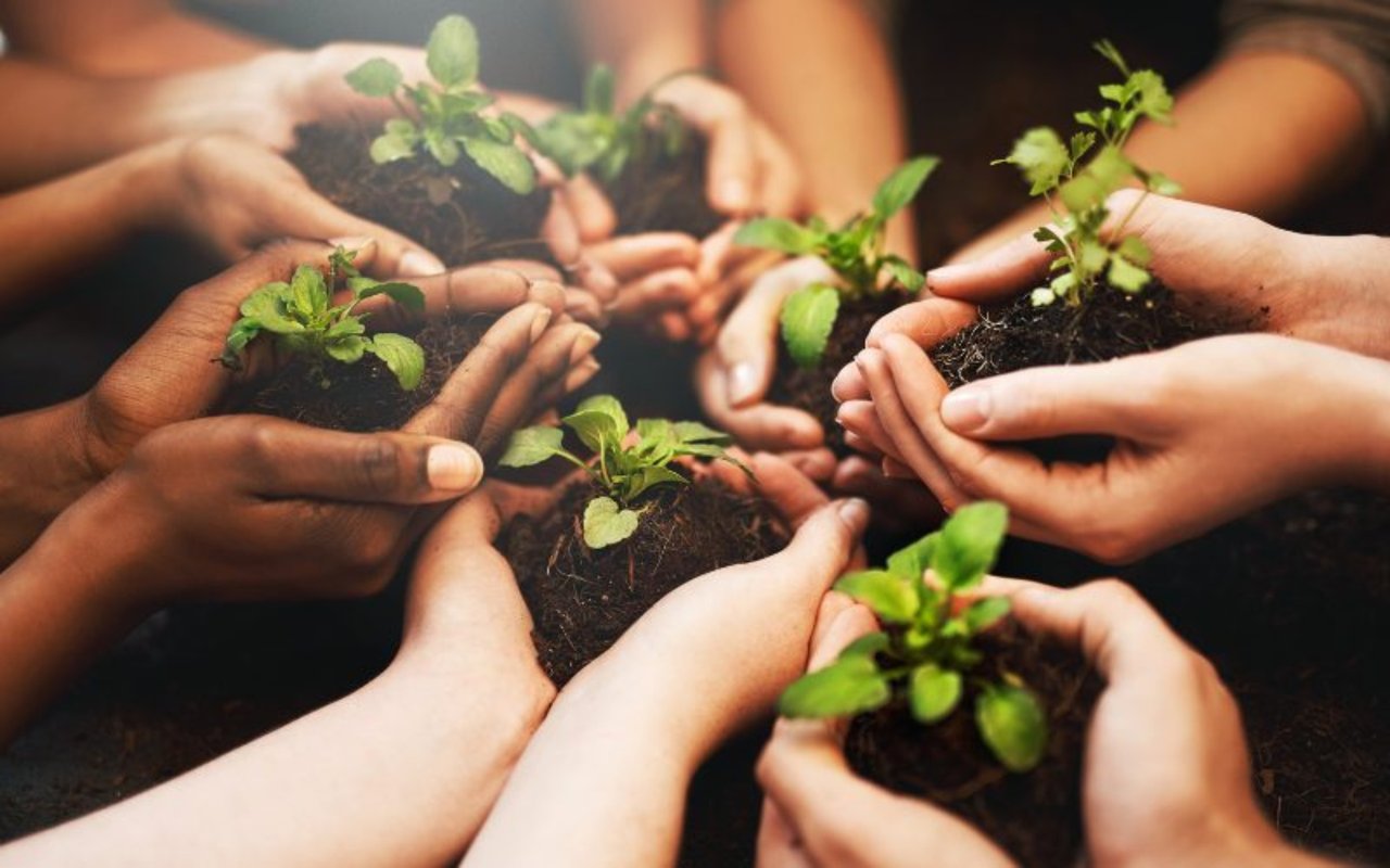 Celebrate Earth Day with Wallace Real Estate