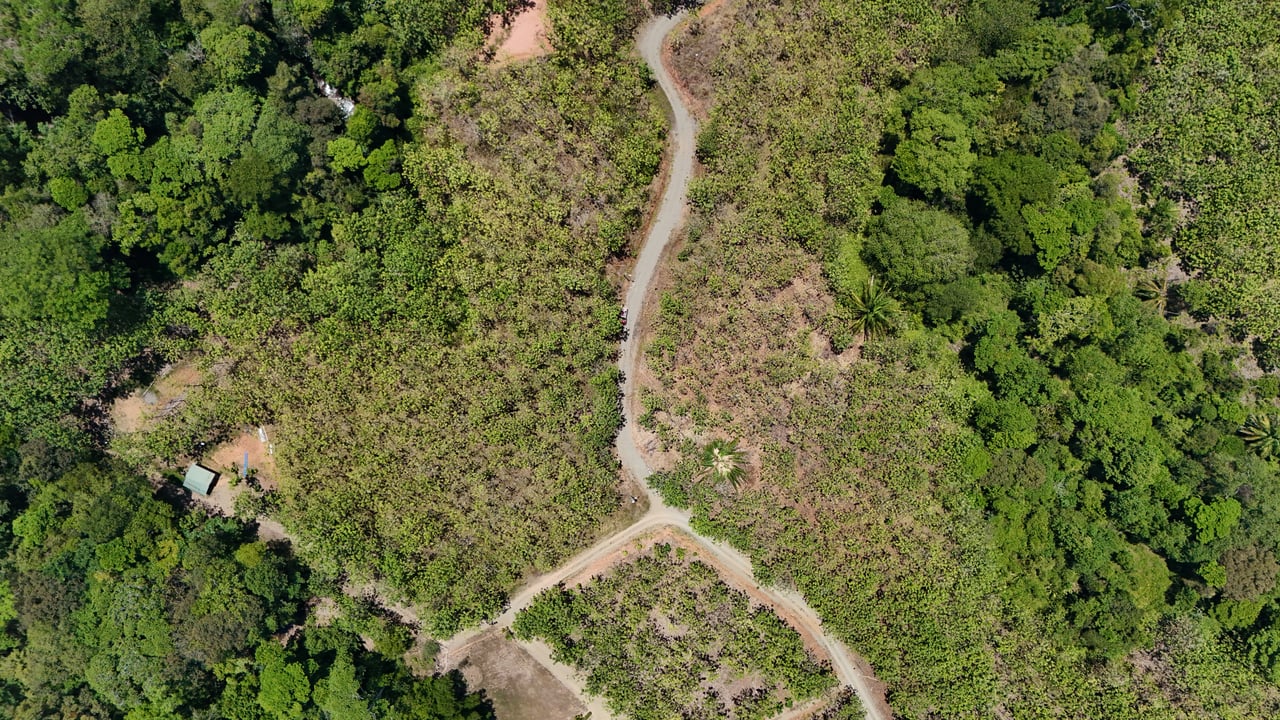 Prime 1.24-Acre Land in Matapalo / San Andrés – Ready to Build