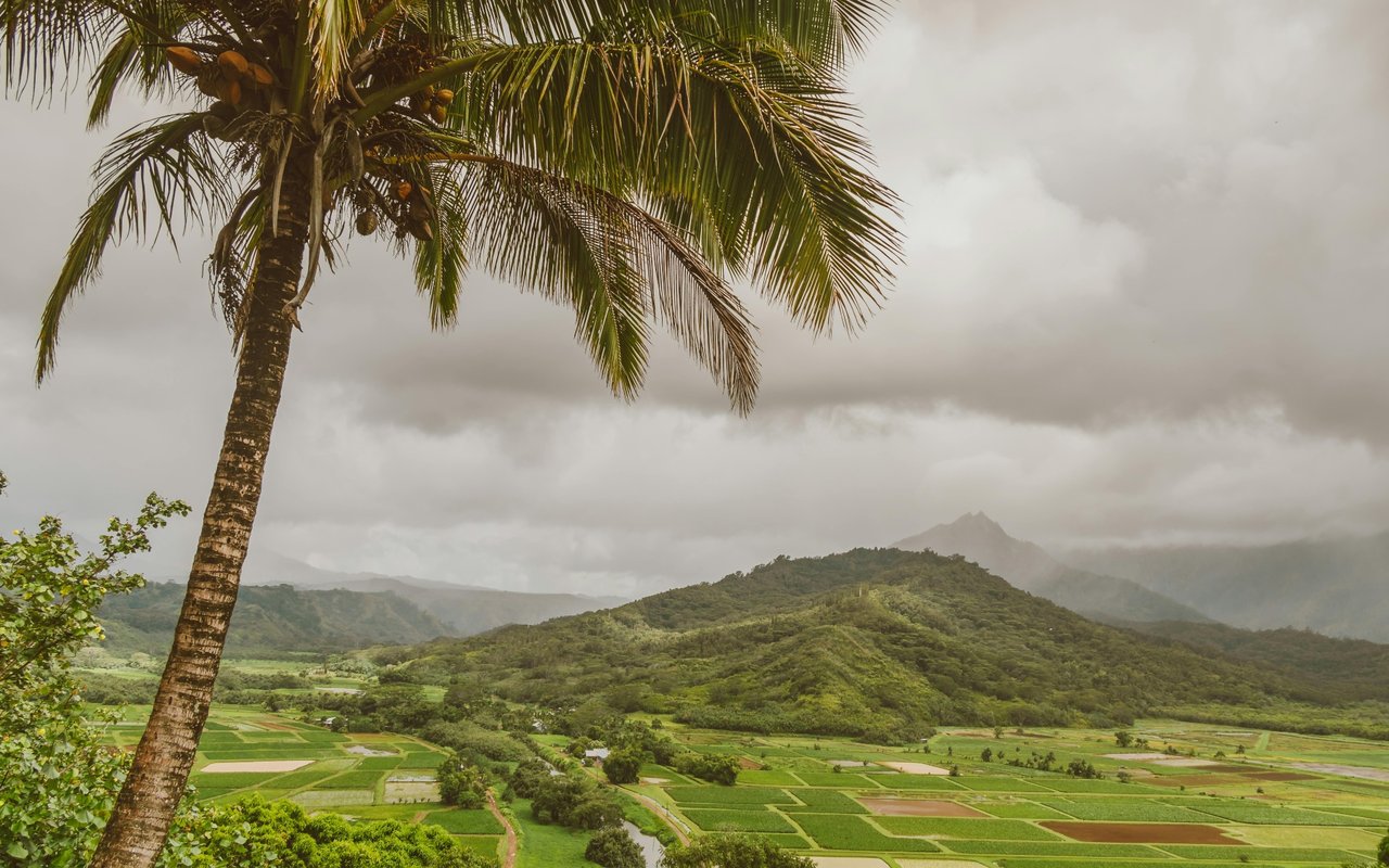 Thinking of Moving to The Verde Valley? Think Cottonwood!