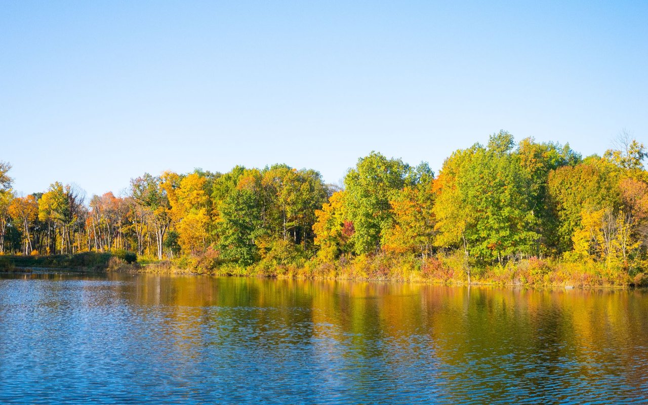 Lake In The Hills