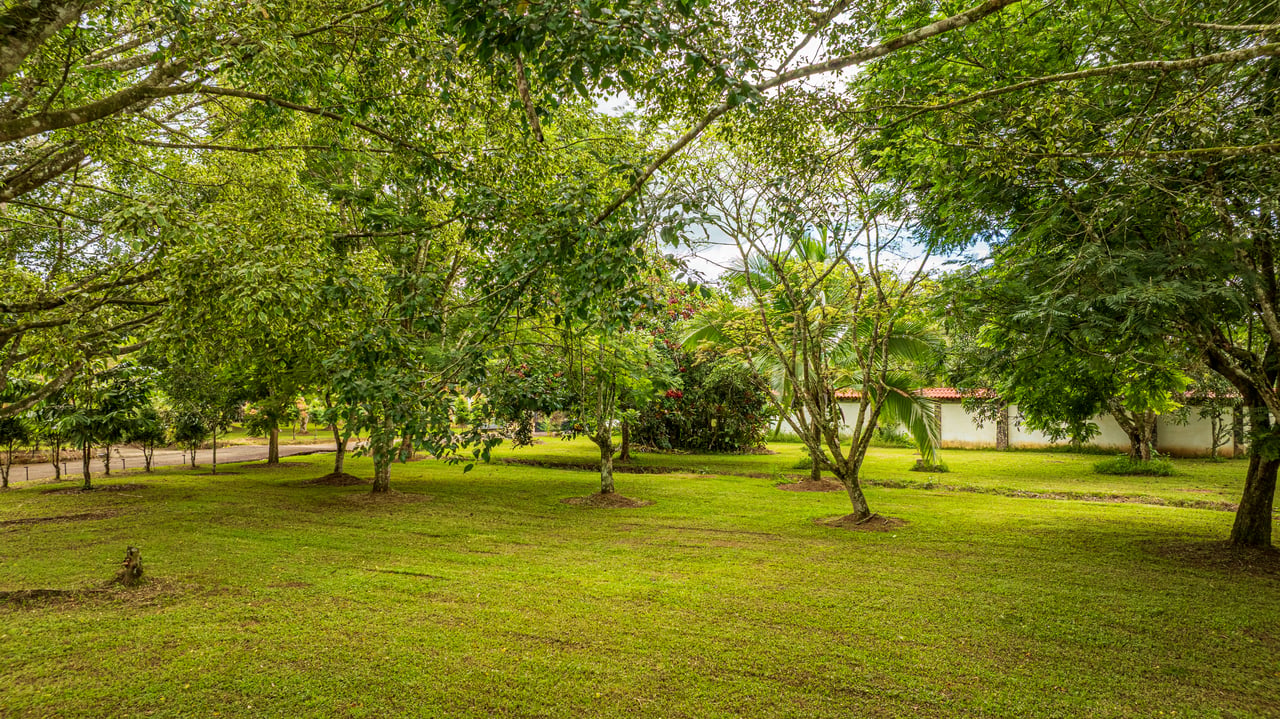 Private Tropical Estate with Pool & Fruit Gardens In San Isidro