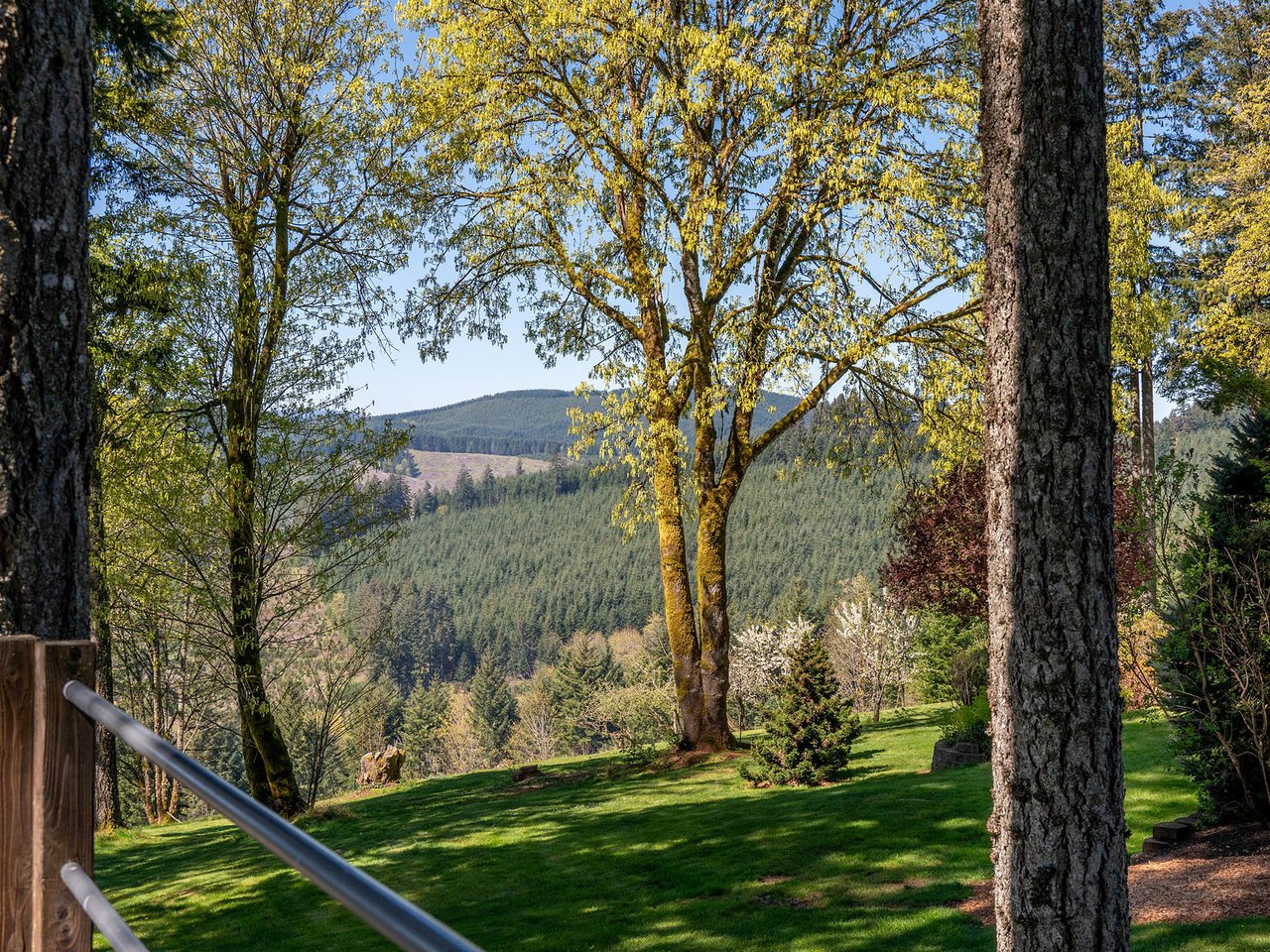 45045 NW ELK MOUNTAIN RD