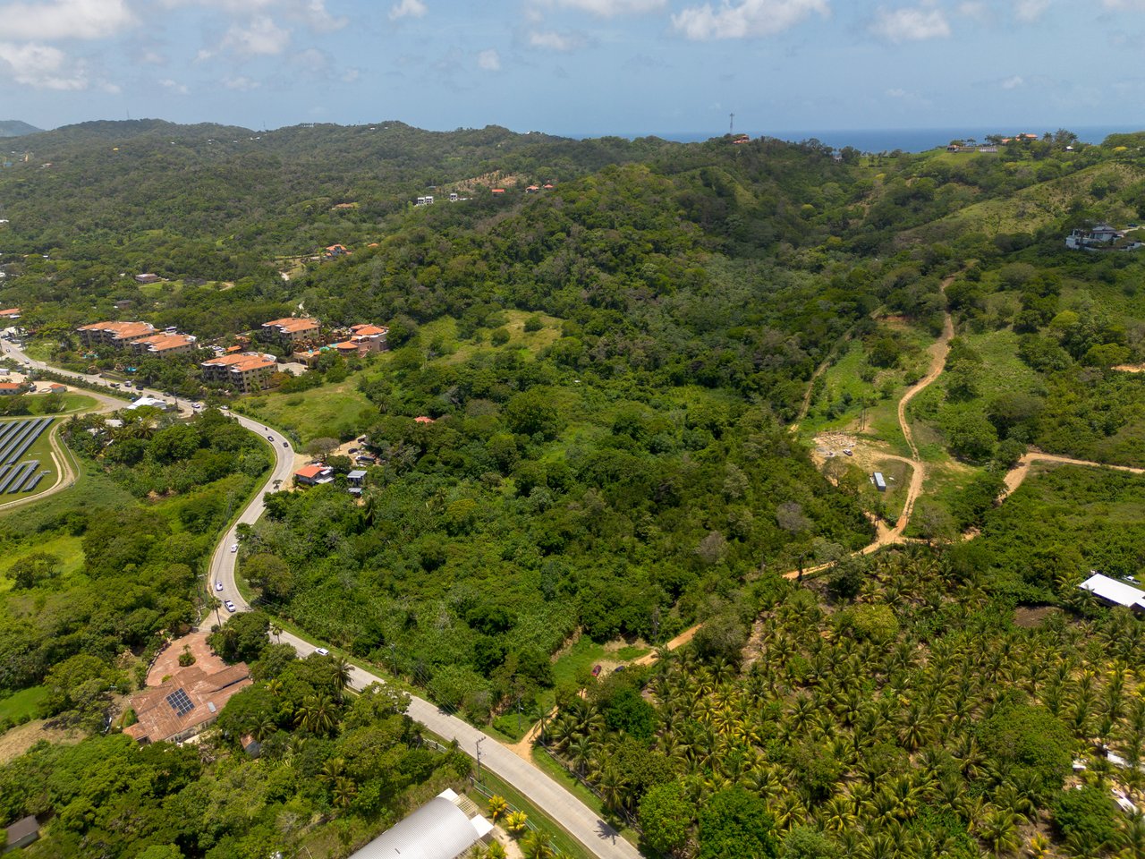 30 Acre Roadfront Gem in French Harbour