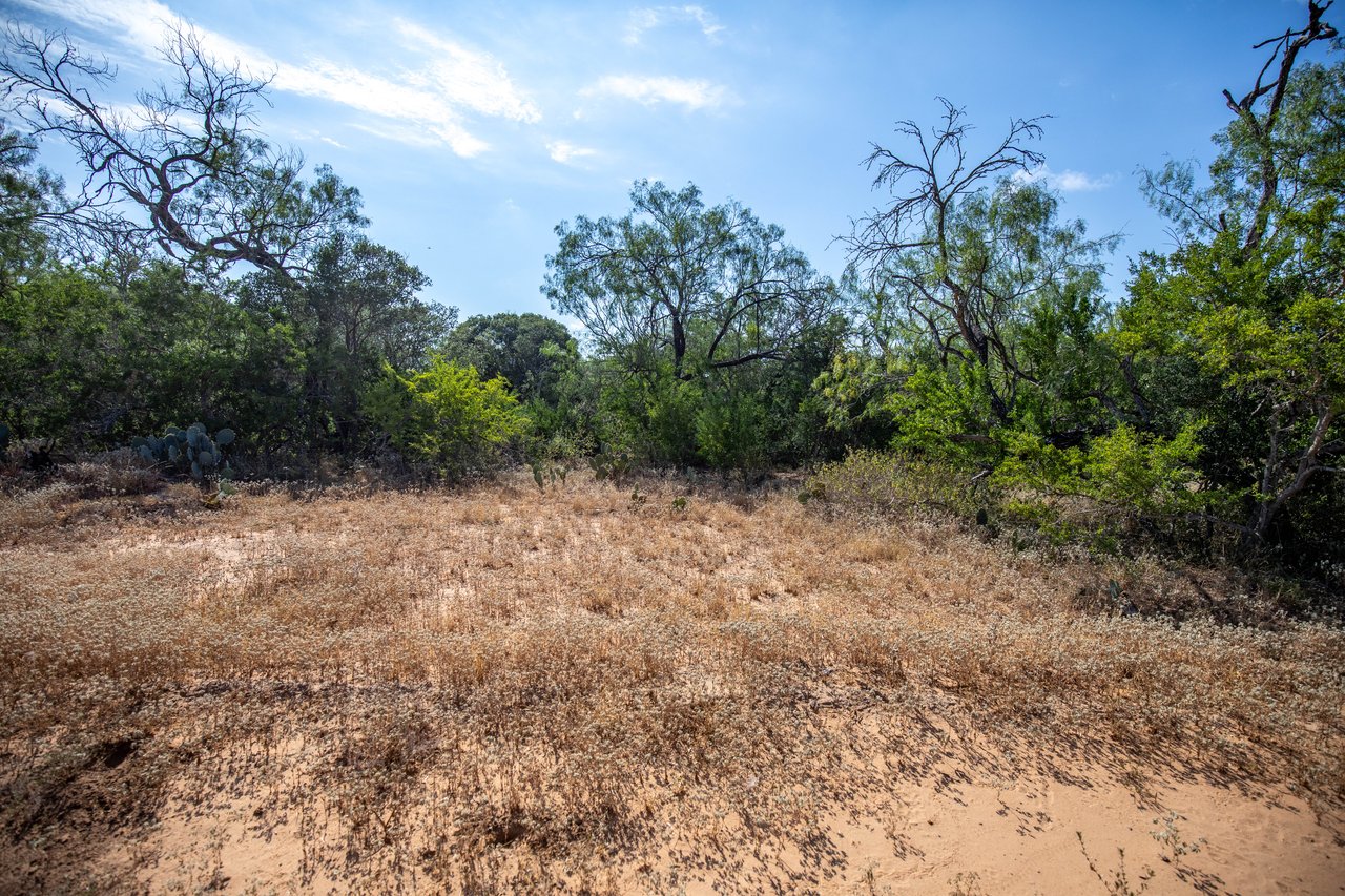 Oaks, Wildlife, & the Quiet of the Countryside | 26.99± Acres | Poteet, TX