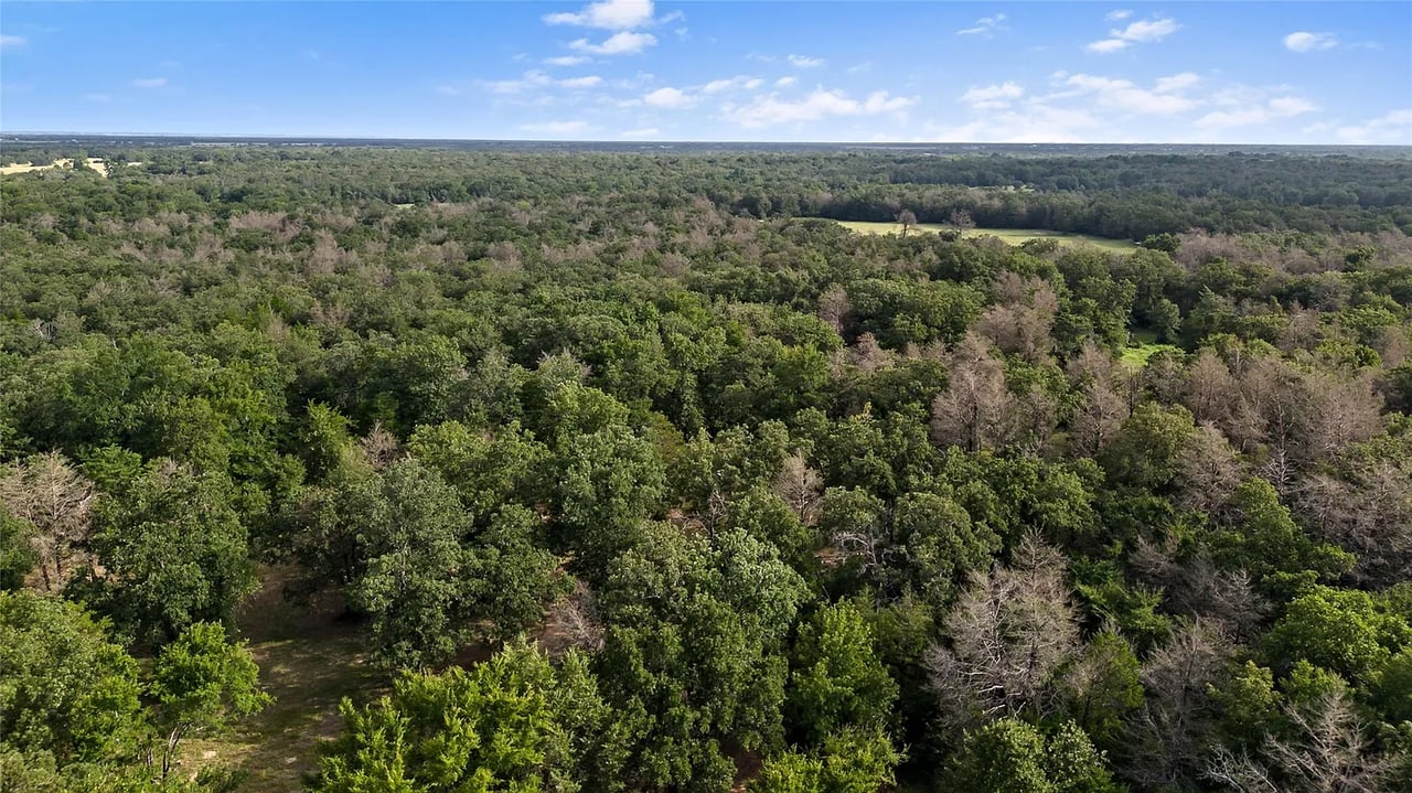 469 County Road 272