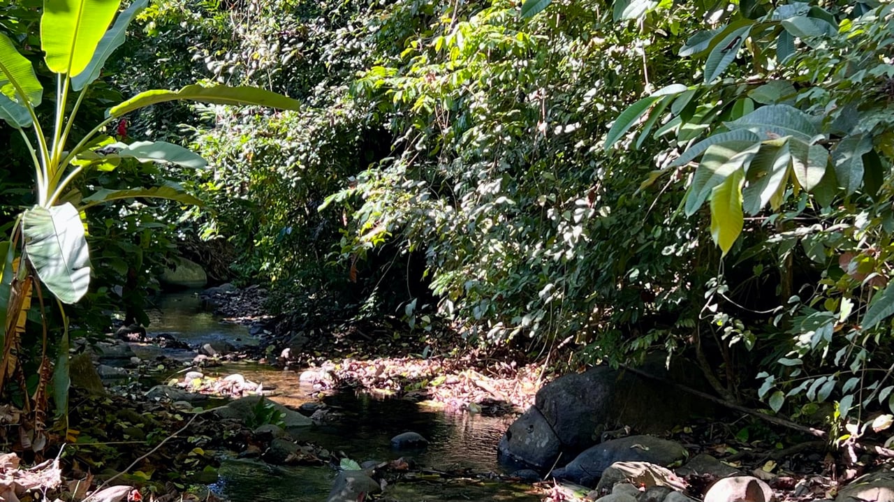 Tropical 2-Bedroom Riverfront Gem in Ojochal