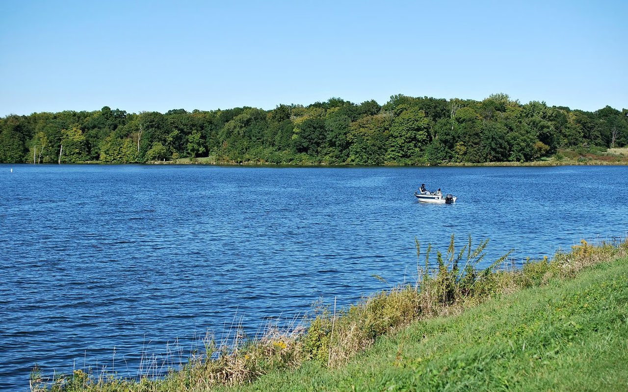 Lake Carroll