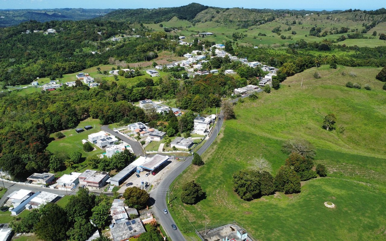 Morovis