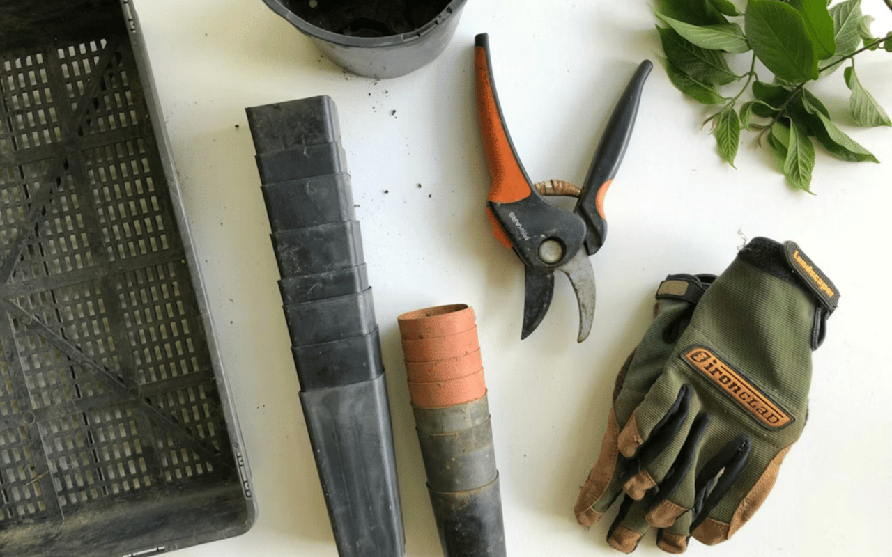 The Role of Landscaping in Boosting Your Home's Aesthetic Appeal