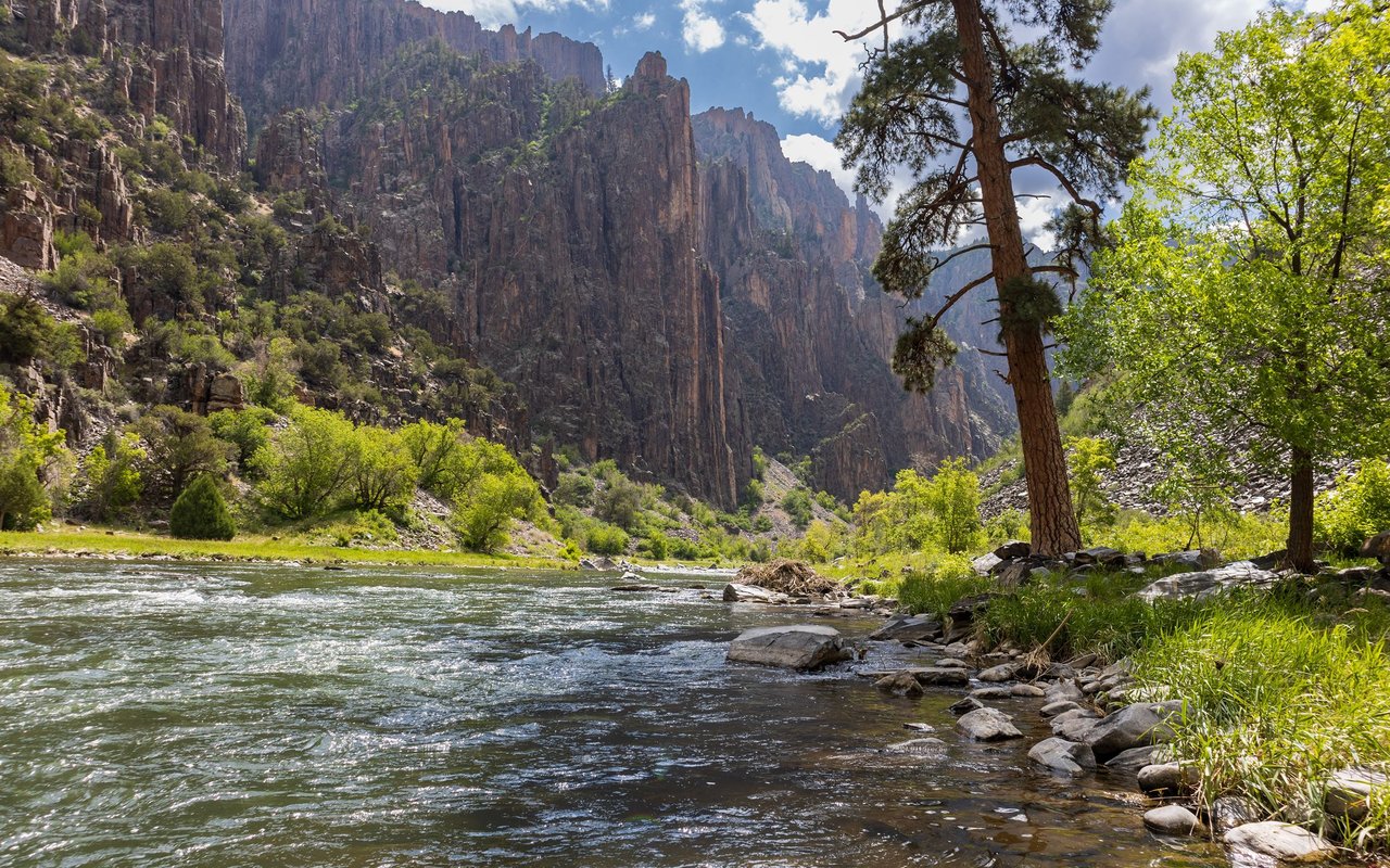 River flowing beneath steep canyon cliffs, with pine trees and green foliage along the rocky banks.