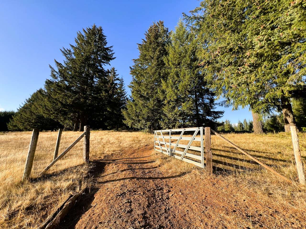 Panther Creek Homestead