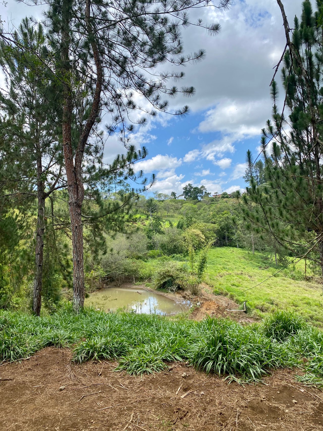 54 Acre Ranch in San Vito, Coto Brus