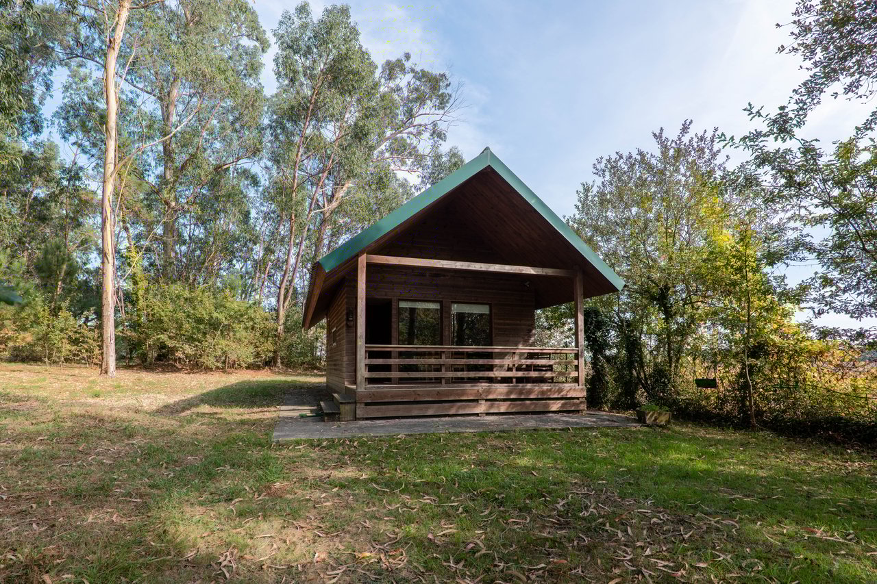 Equestrian Estate in Lavra with 13,000 m² just 800 Meters from the Beach