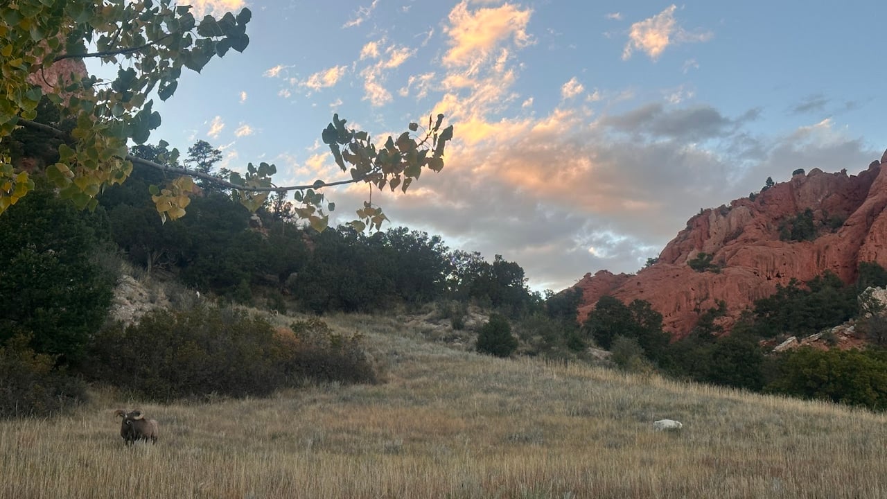 Garden of the Gods: Where Colorado Springs Comes Alive