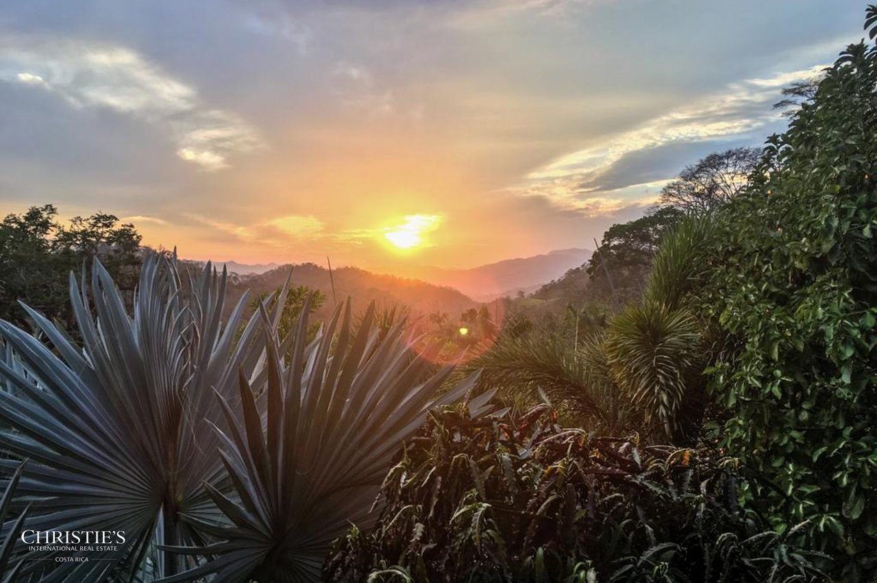 Vistas Las Islas Hotel - The Crown Jewel Overlooking Isla Tortuga and Playa Organos