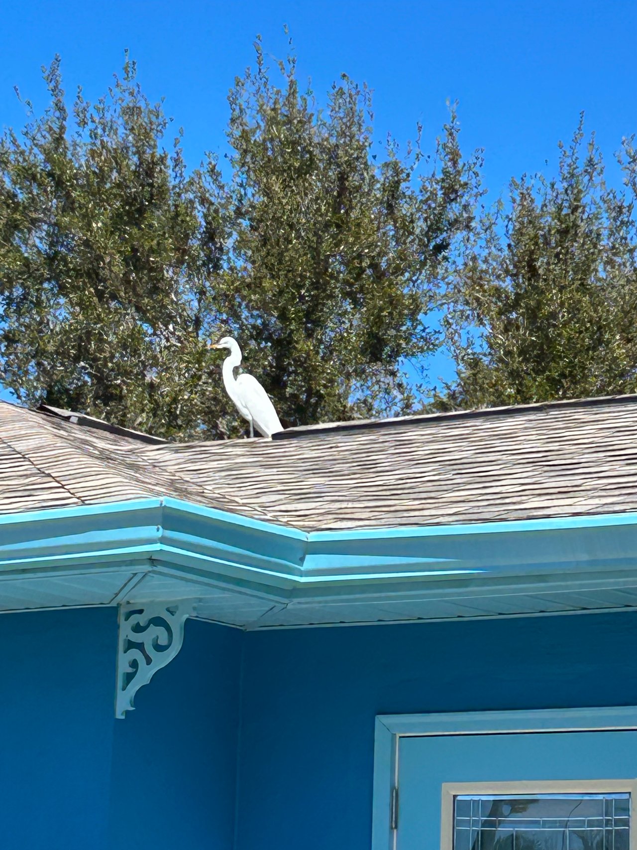 Dunedin Bungalow | Bayshore Blvd