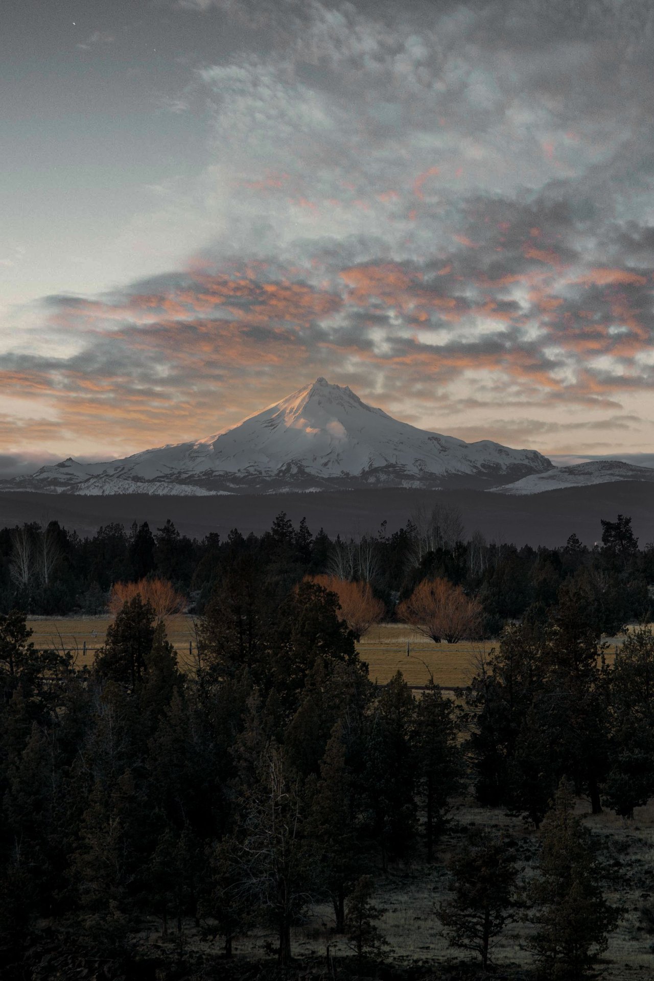 Snow-covered mountain above evergreen forest beneath orange-lit clouds