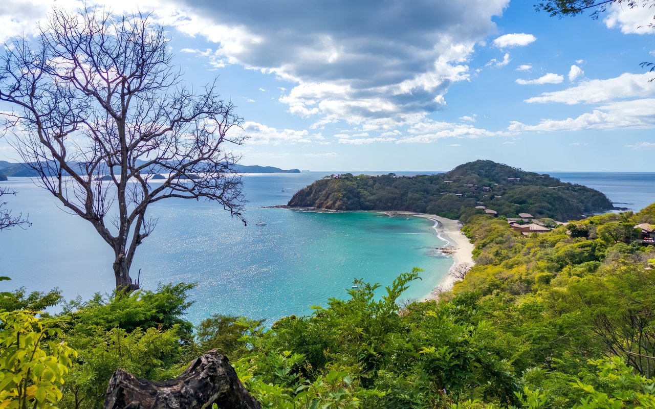 Papagayo