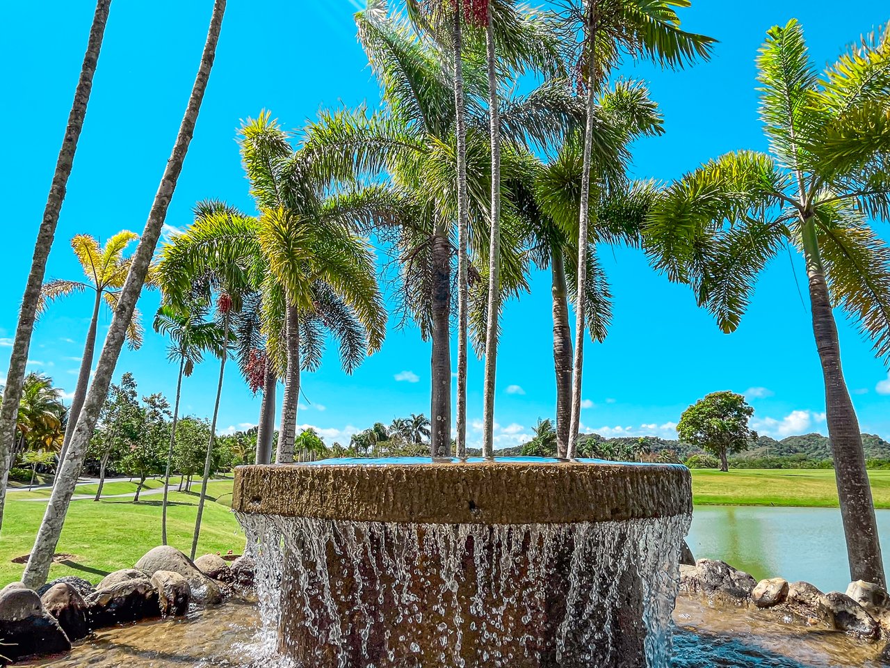 Dorado Beach East 147