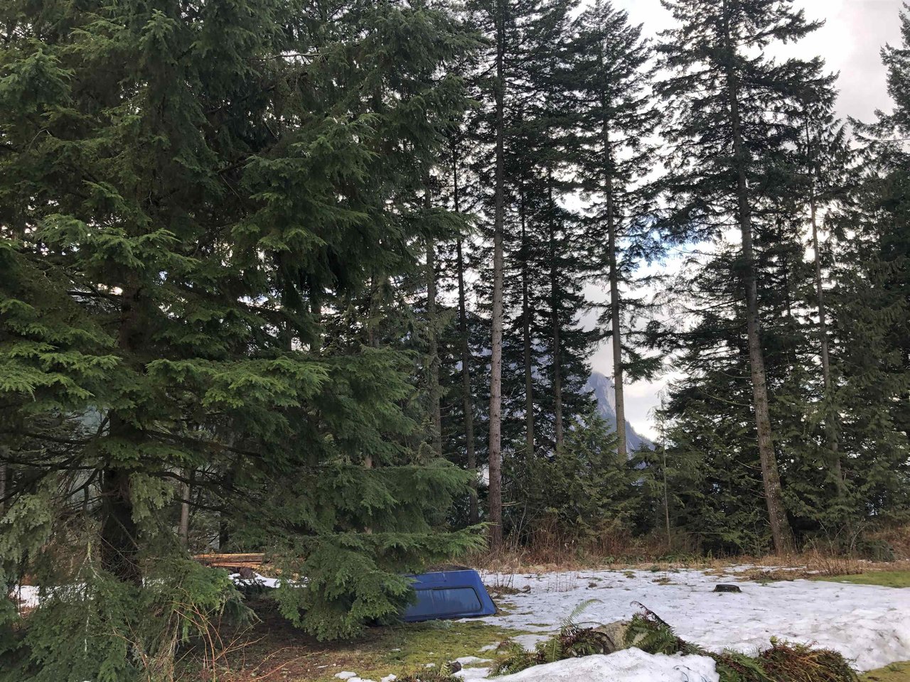 1127 Plateau Cres