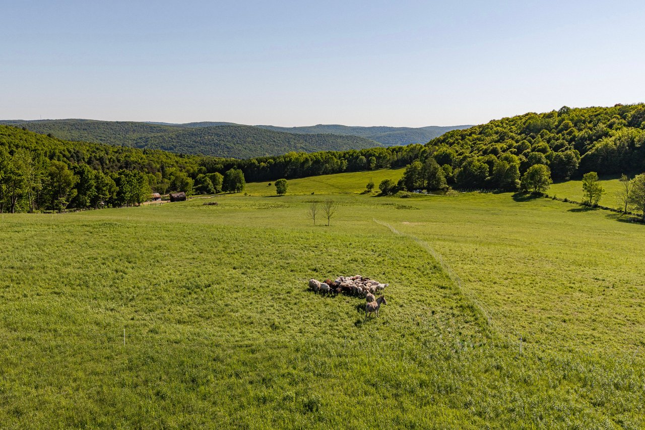 What It's Really Like to Own a Farm in Upstate New York