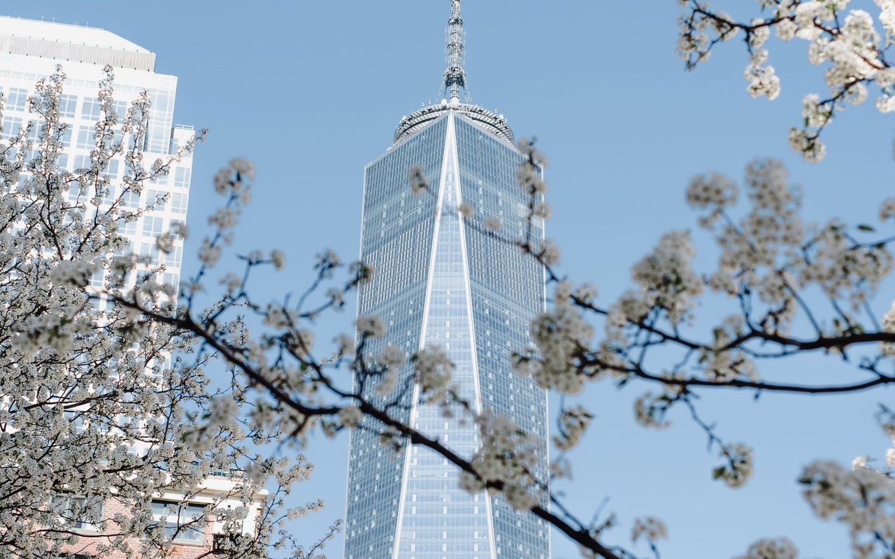 The FIDI Report: 4Q19