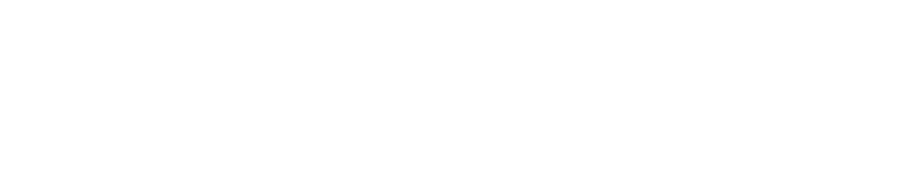 Vanguard Properties