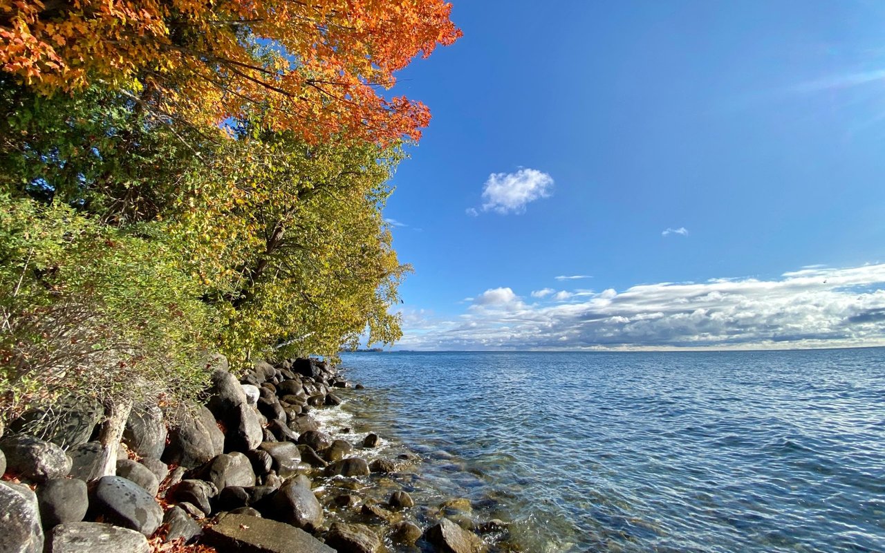 Oro-Medonte