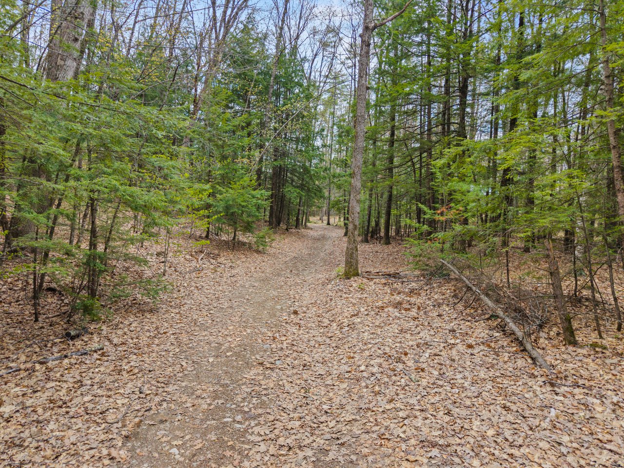 31A-4 Trafton Way