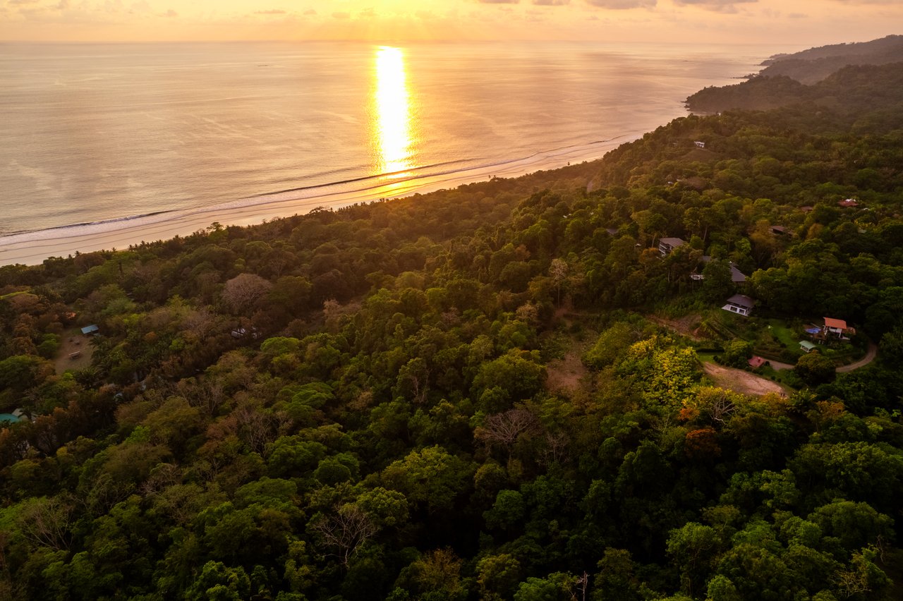 Ultra-Luxury Coastal Estate with Iconic Whale’s Tail Views