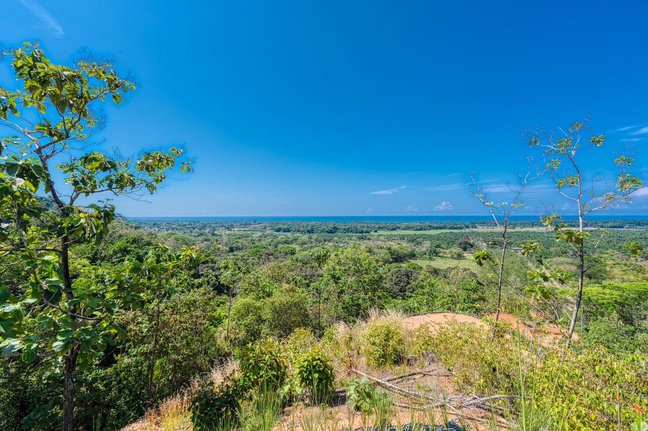 ¡New Gated Development in Matapalo - Ocean View and Flat Land, ready to build!