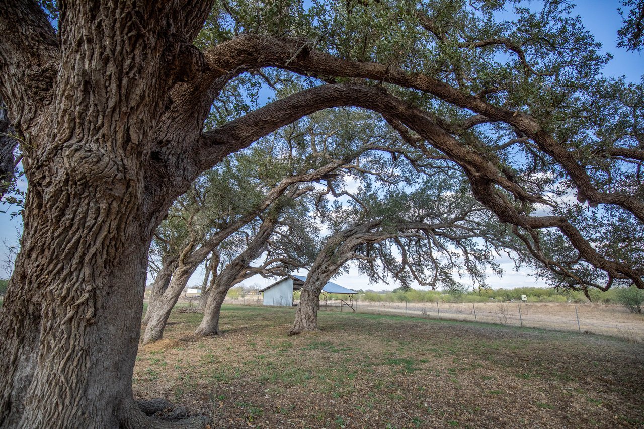 1019 Tulley Road | 45.86± Acres | Cuero, DeWitt County, TX