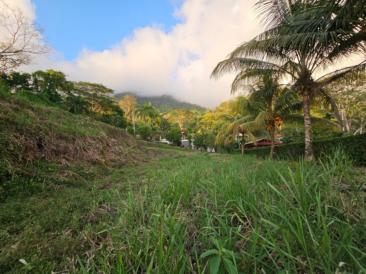 Peaceful Paradise Land in Ojochal with Budget-Friendly Options