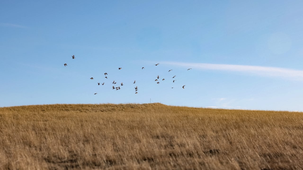 Prairie Rise Ranch