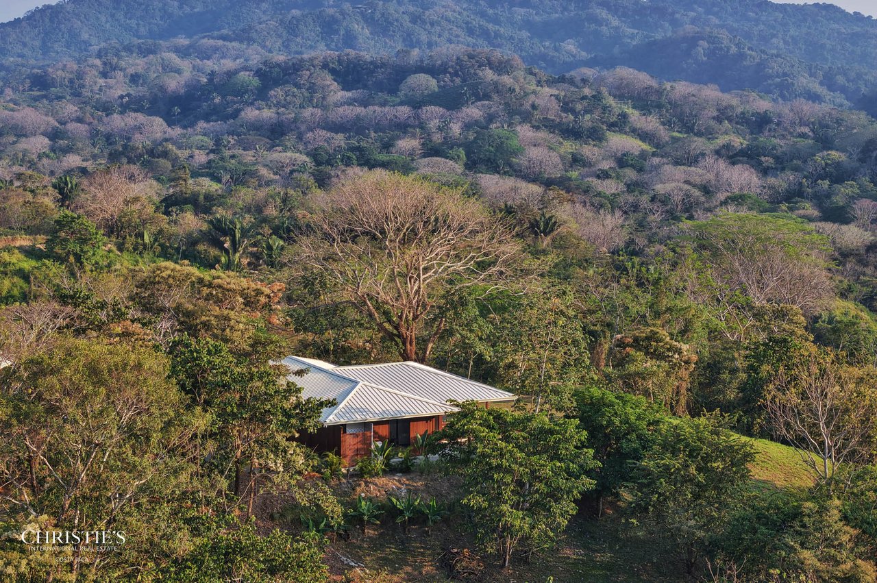 An 11-Acre Ocean View Jungle Sanctuary in Costa Rica
