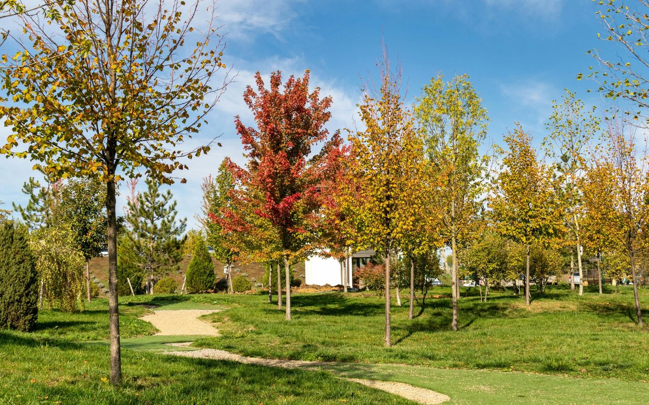 Smoketown Fields