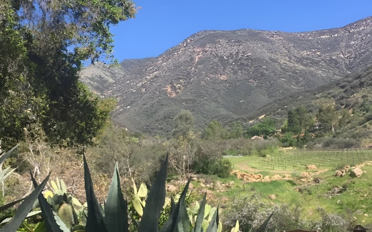 Vineyard valley beneath a broad mountain, with agave and prickly pear in the foreground.