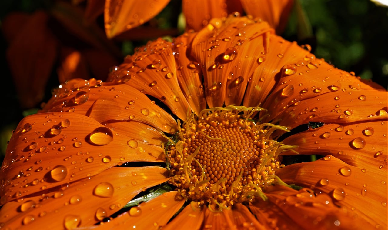 May in Oklahoma City: Spring Events, Real Estate Trends & Fun Things To Do