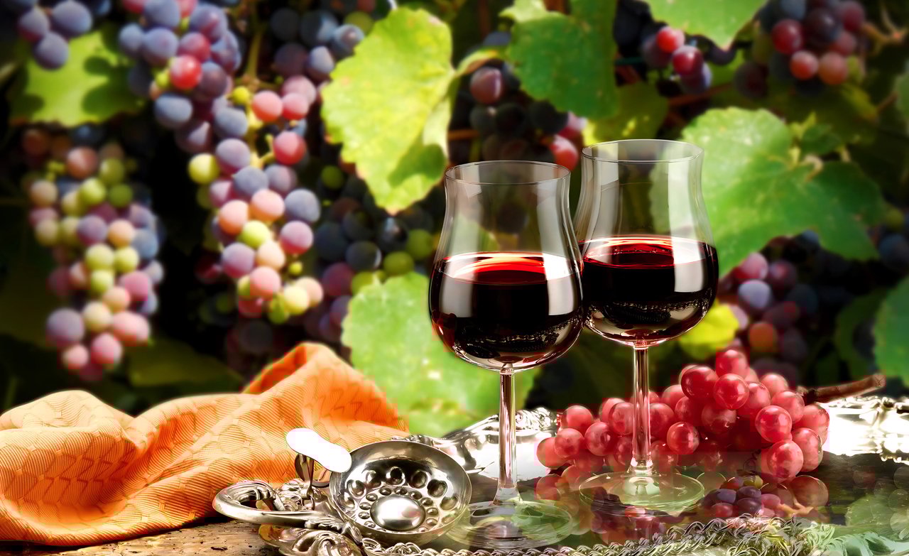 Storing Wine at Home