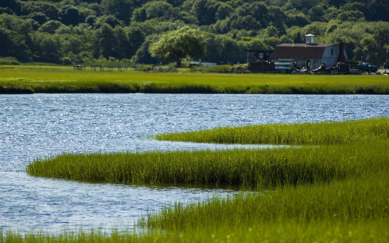 Marshfield