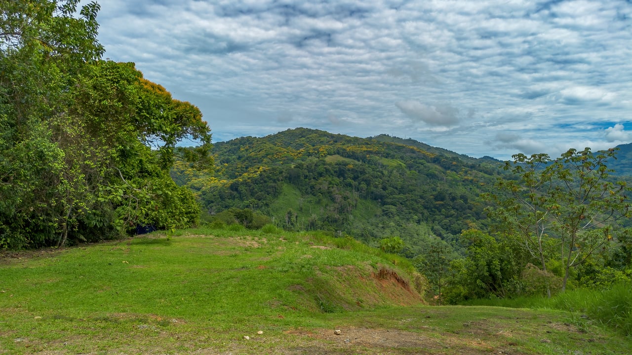 60 Hectares in Platanillo 