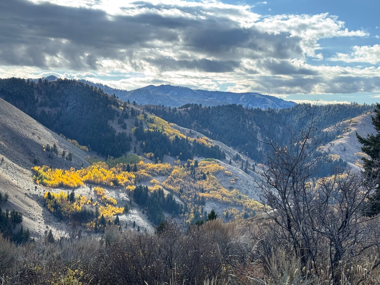 Best Fall Hikes in Jackson Hole