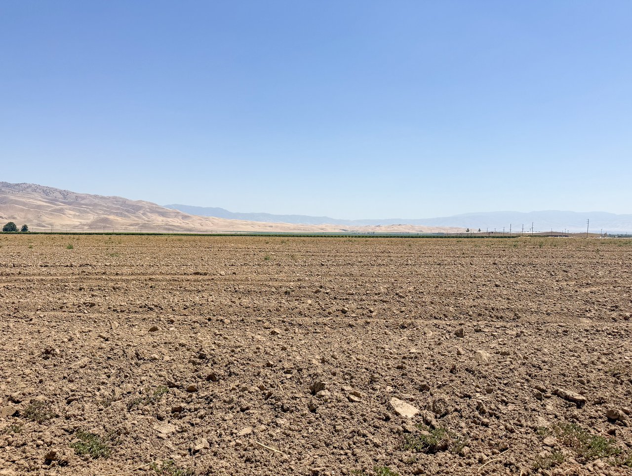 153.60 +/- Acres of Open Farmland in Arvin Edison Water Storage District