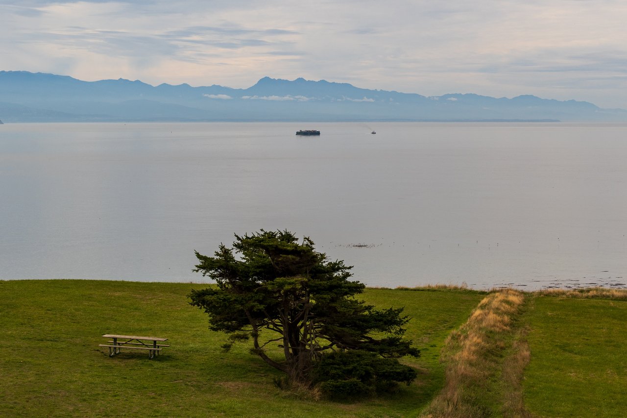 Scenic Heights