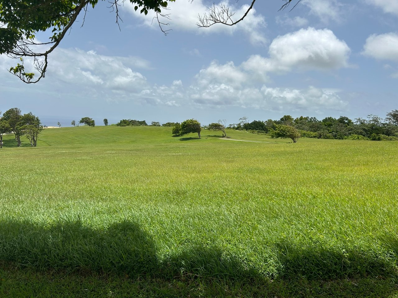 Apes Hill, Holders Meadow, H16