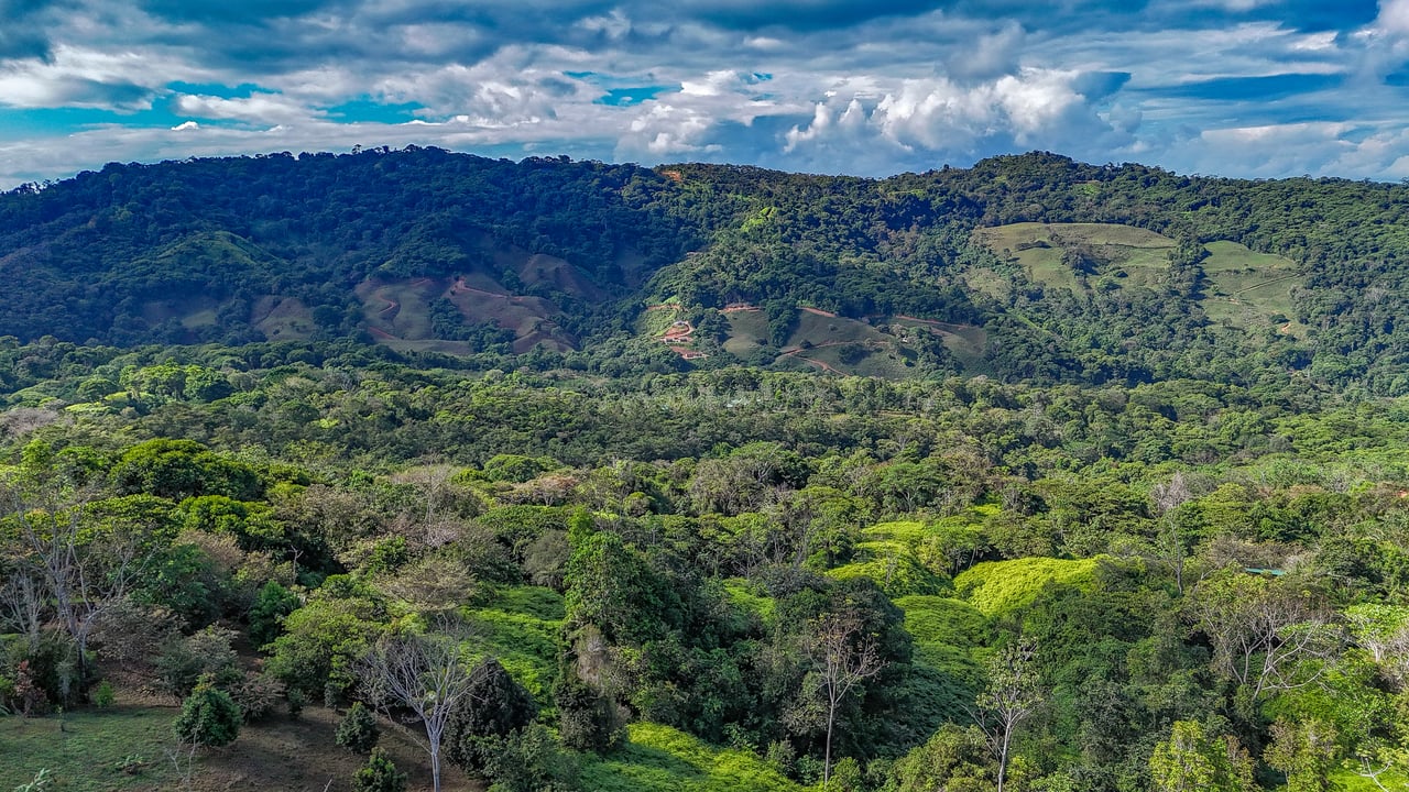 Tinamastes Costa Rica Property with Home, Yoga Deck & Land