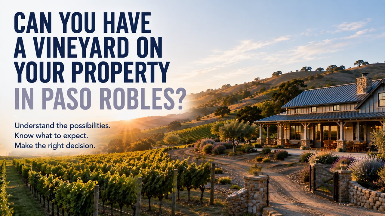 Can You Have a Vineyard on Your Property in Paso Robles?