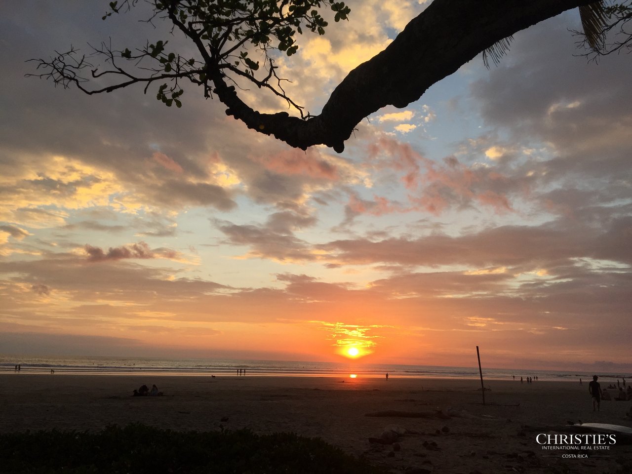 Jungle and Ocean Architectural Masterpiece
