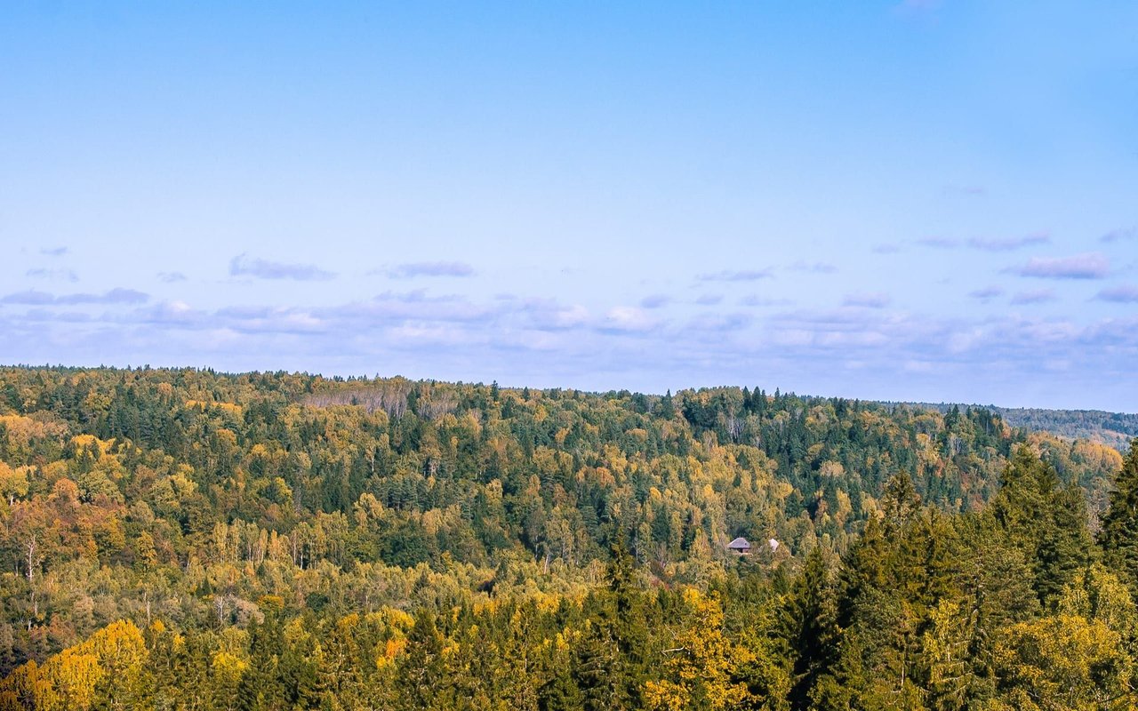 Autumn forested hills stretch beneath a broad blue sky, with a few distant buildings.